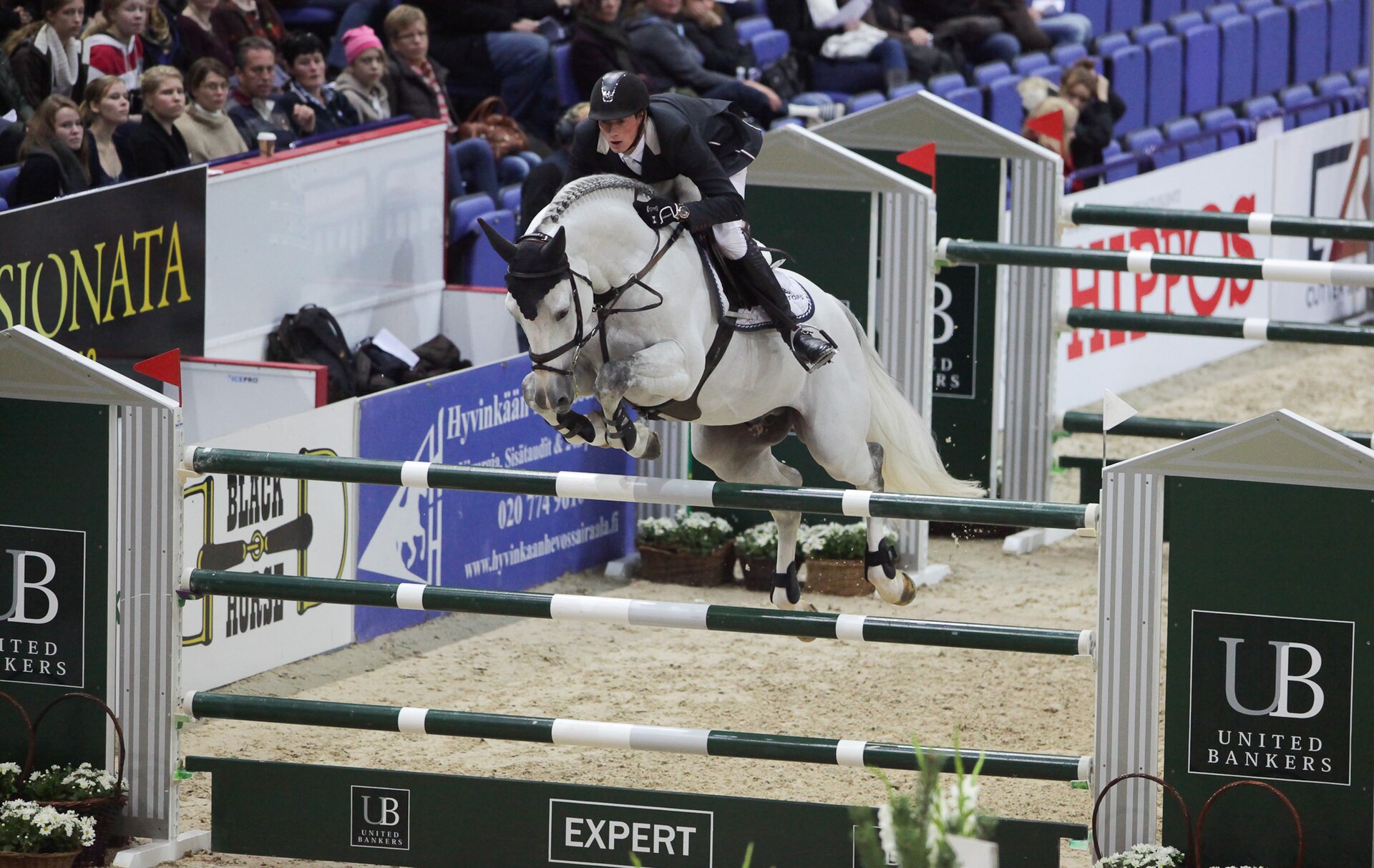 Springreiter im Sattel eines braunen Warmblüters während des Sprungs über ein Hindernis auf einem Reitplatz